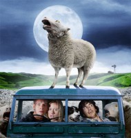 /album/galleria-fotografica/blacksheep-jpg/